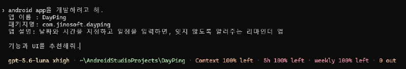 Codex CLI에 DayPing 앱의 기본 요구사항을 전달한 화면