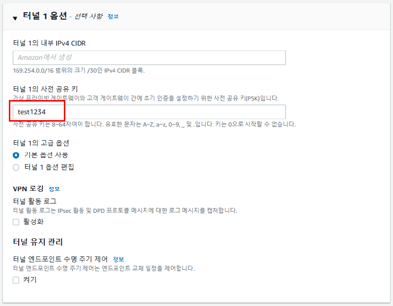 첫 번째 VPN 연결의 터널 1 옵션