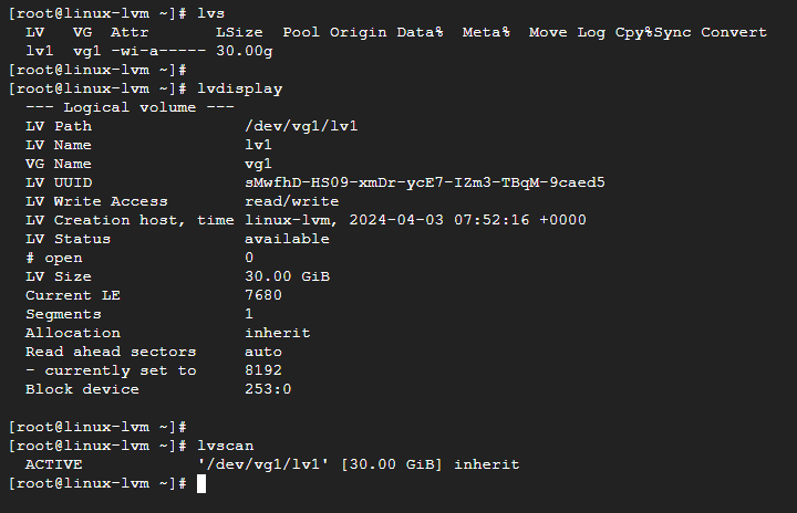 lvs, lvdisplay, lvscan으로 lv1을 확인한 화면