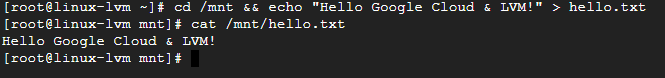 LVM 파일시스템에 테스트 파일을 생성하고 확인한 화면