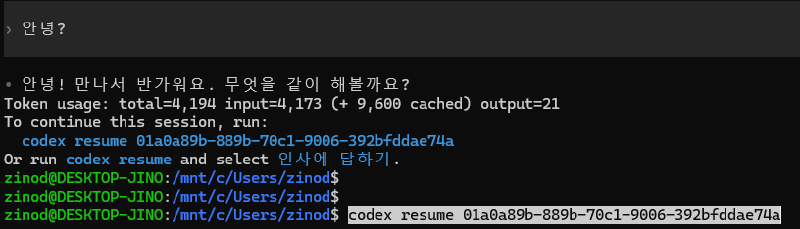 대화 종료 후 codex resume 명령과 세션 식별자가 표시된 화면