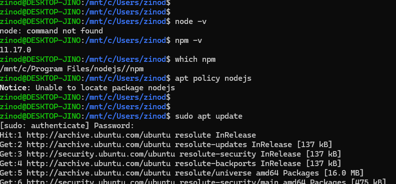 node는 없지만 Windows 경로의 npm이 잡히고, apt 패키지 목록을 갱신하는 화면