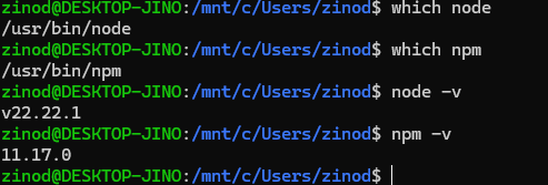 Node.js와 npm의 경로가 /usr/bin 아래로 잡히고 버전이 출력된 화면